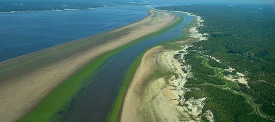 Anticipación de sequía que protege el margen